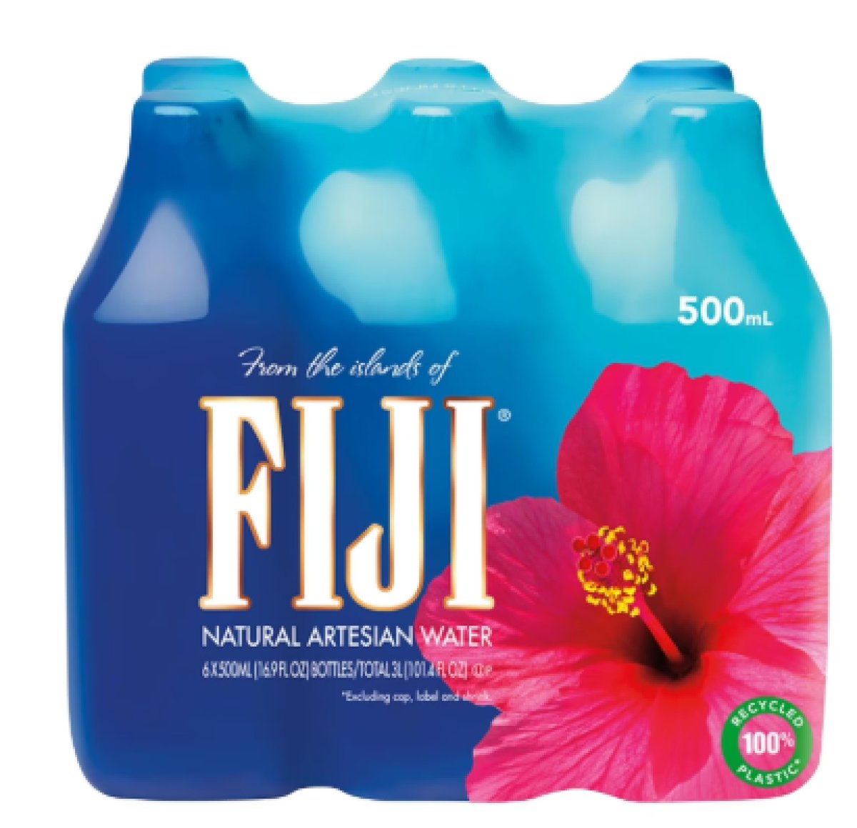FIJI Natural Artesian Water, 16.9 fl. Oz. (Pack of 6 Bottles)
